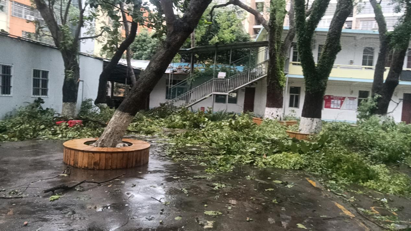 海南师范大学附属小学教职工返校清理校园 做好灾后恢复工作