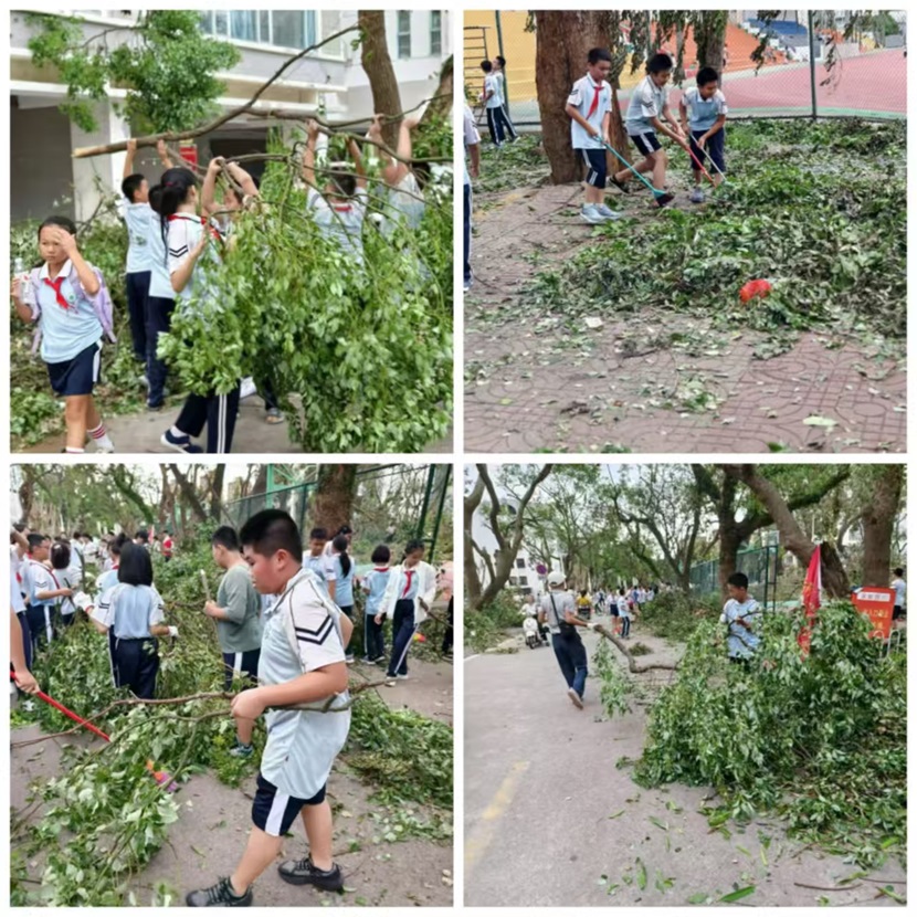 风雨过后,即是晴天:附小人全力恢复校园正常秩序